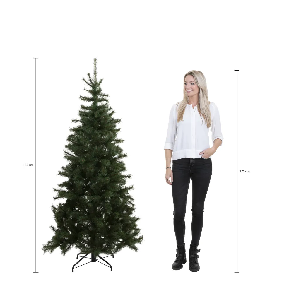 Black Box Trees Kerstboom Toronto (H185 X O114 Cm)