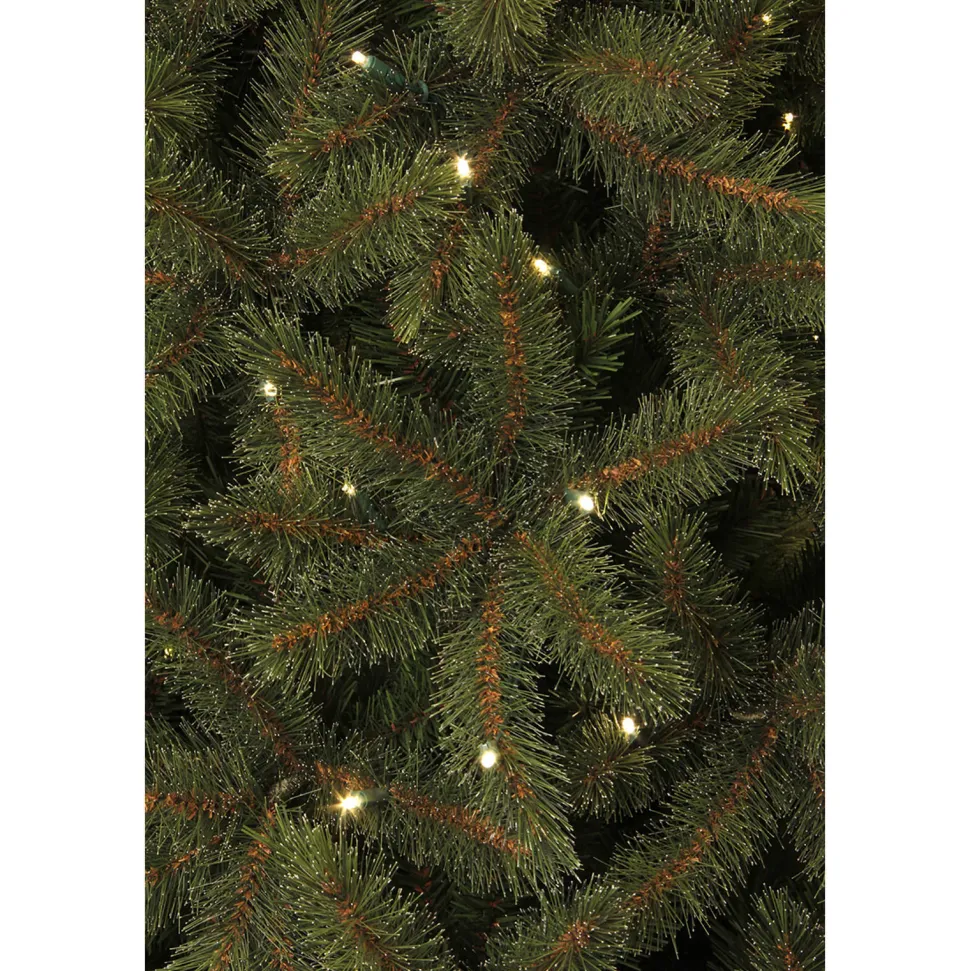 Black Box Trees Verlichte Kerstboom Toronto (H155Xo102 Cm)