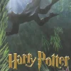 J.K. Rowling Harry Potter: Harry Potter En De Vuurbeker