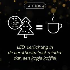 Lumineo Verlichtingssnoer Met Twinkel Multi Color (750 Led)