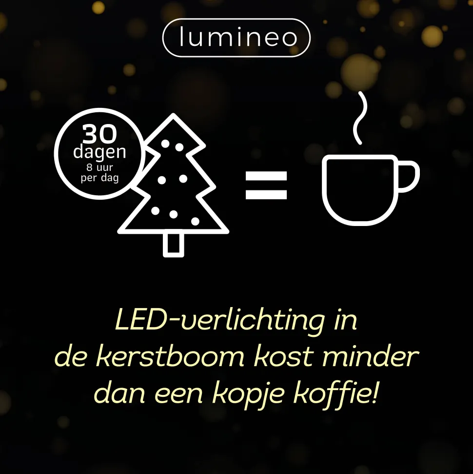 Lumineo Verlichtingssnoer Met Twinkel Multi Color (750 Led)