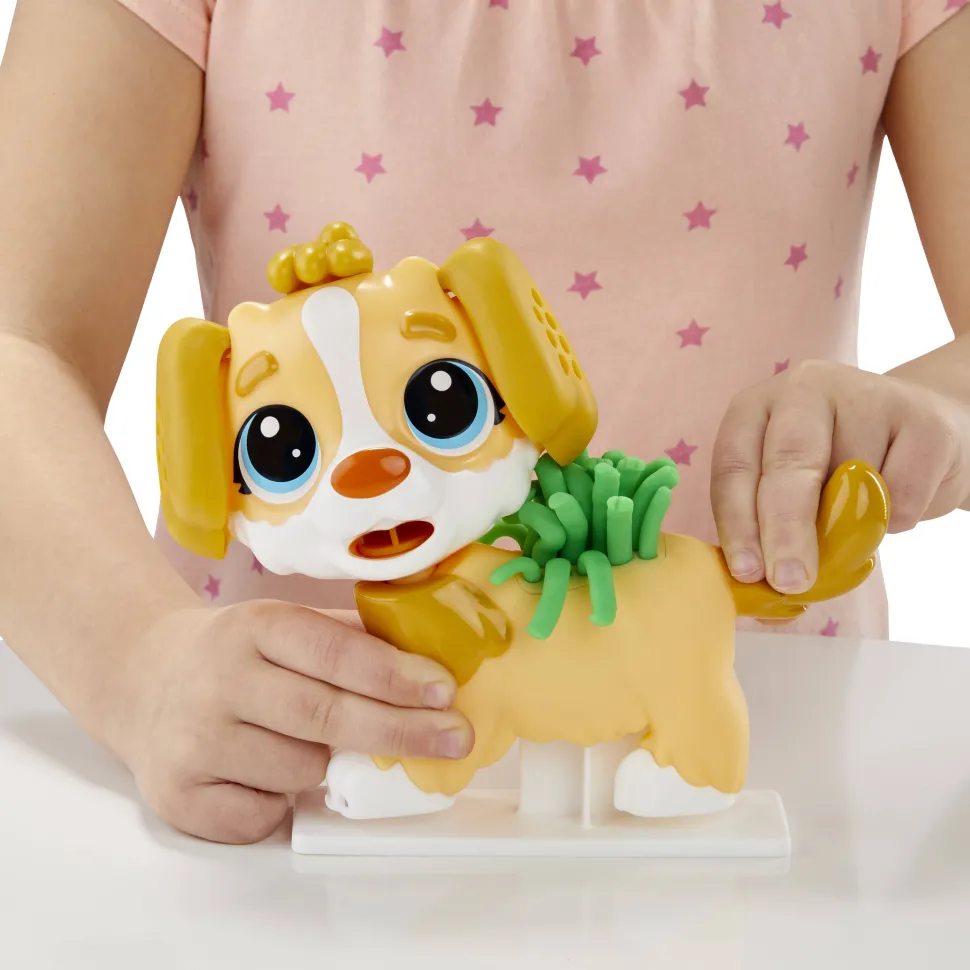 Play-Doh Care N Carry Vet