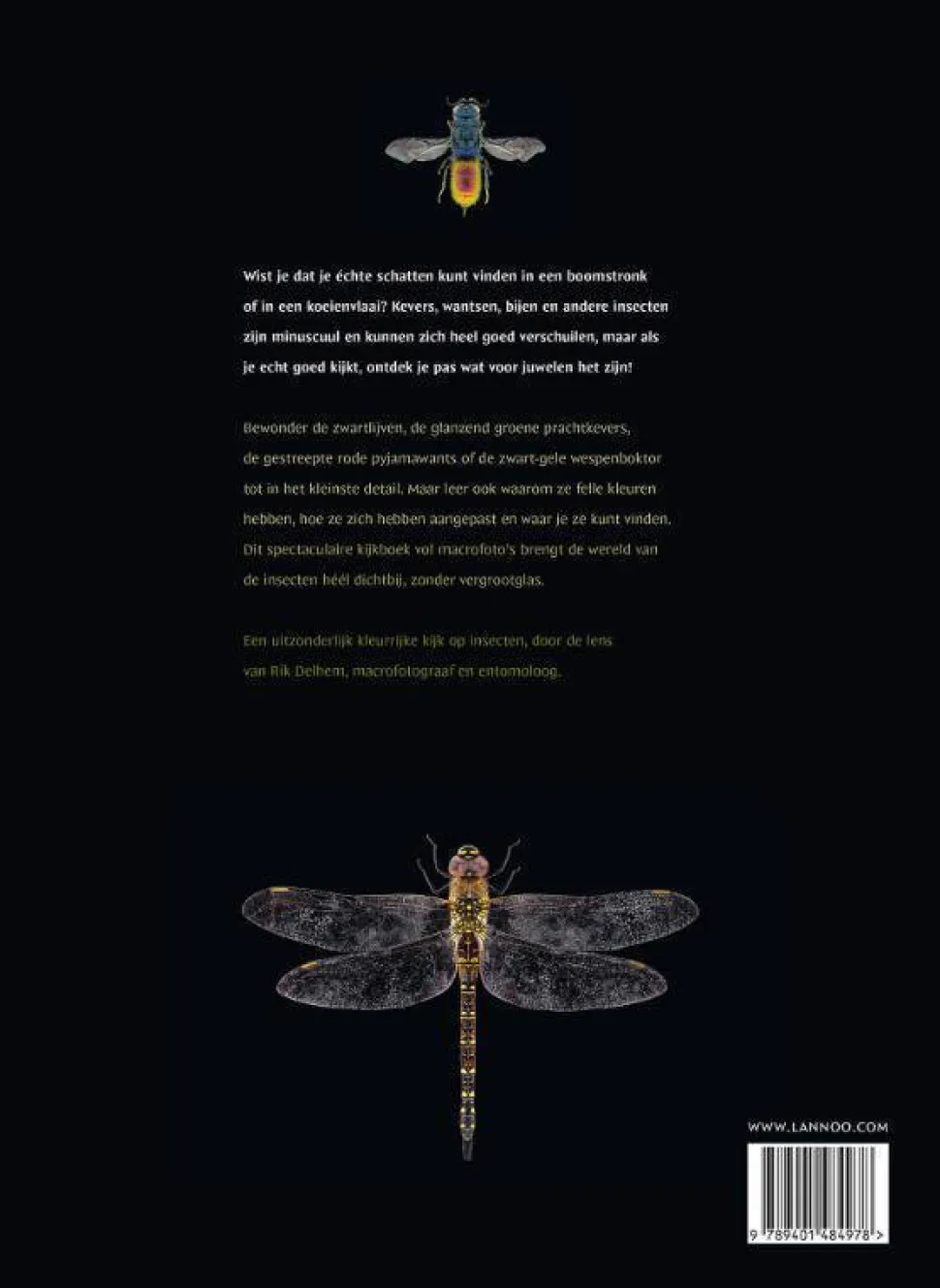 Rik Delhem Een Boek Vol Insecten