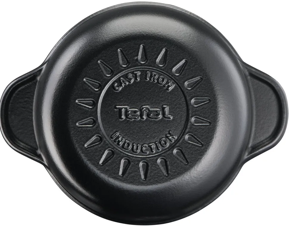 Tefal Tradition Gietijzeren Braadpan (O24 Cm)