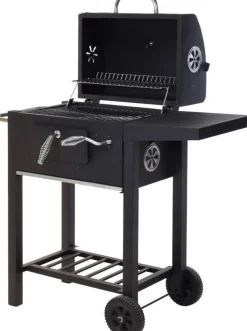 Vaggan Houtskoolbarbecue